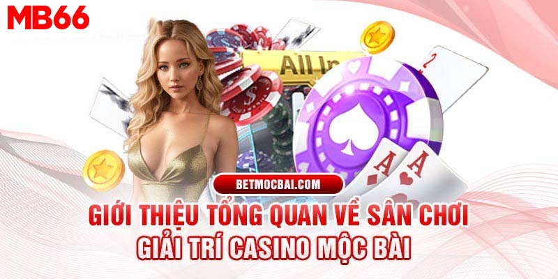 Thông tin cơ bản về casino Mộc Bài cho người mới